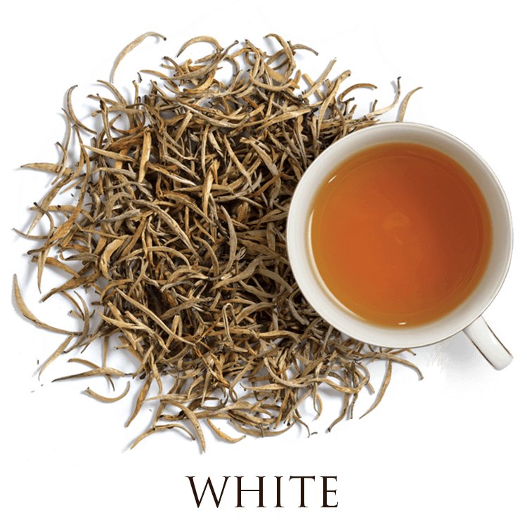 leaves red berry 750x750 1