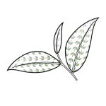 Teacoz LooseTea Icon V4 150x150 1